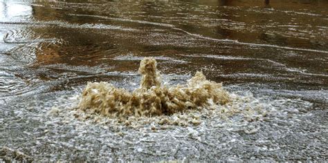 The Sickening, Dangerous Side Effects of Flooding