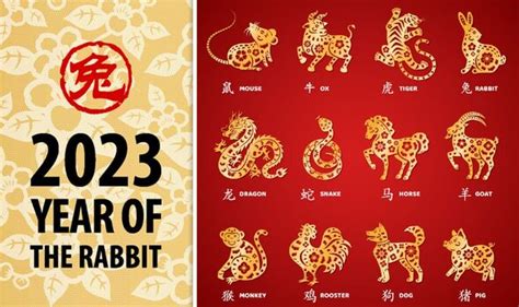 Chinese horoscope 2023: What the Year of the Rabbit has in store for ...