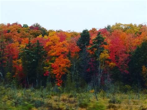 Michigan fall color update: Western Upper Peninsula nearing peak ...