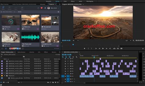 Adobe Premiere Pro