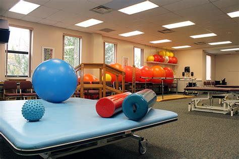 Physical Therapy B.S., NS/DPT | Daemen College