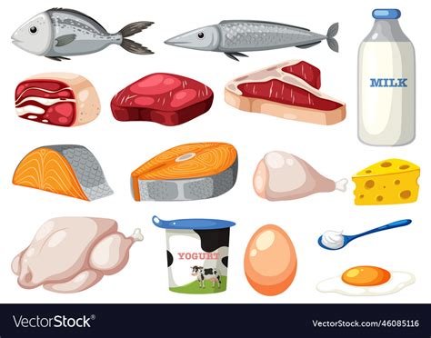 Set of cartoon protein food Royalty Free Vector Image