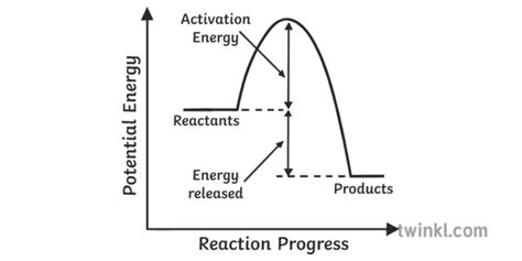 Exothermic Reaction Curve