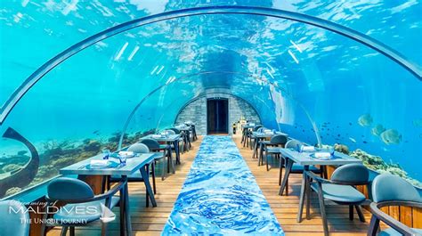 The Underwater Restaurant at Hurawalhi Maldives. The 5.8