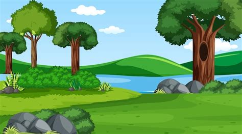 Free Vector | Blank forest at daytime scene with various forest trees