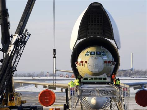 Airbus' strange-looking Beluga aircraft turns 20 | Airbus, Beluga, Cargo