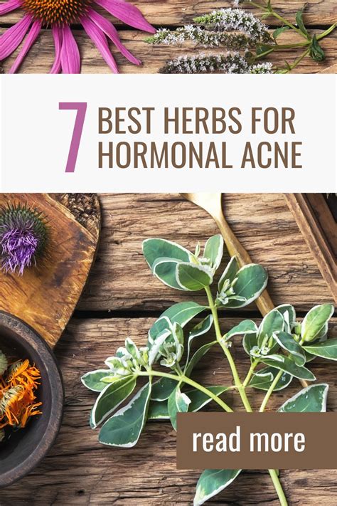 7 Best Herbs For Hormonal Acne (Natural Remedies)