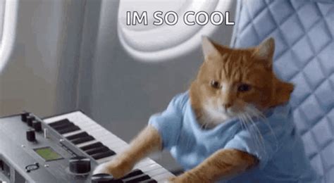 Cat Playing Piano Funny GIF - Cat Playing Piano Funny Meme - Discover ...