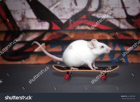 183 Graffiti Mouse Stock Photos, Images & Photography | Shutterstock