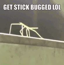 Stick Bugged GIF - Stick Bugged - Discover & Share GIFs