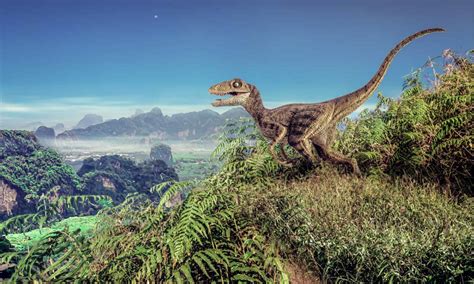 What Do Dinosaurs Eat? - WikiPoint - Wiki Point