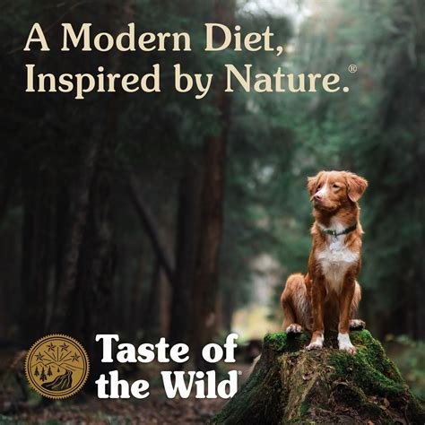 Taste of the Wild Pacific Stream Grain-Free Canned Dog Food, 13.2-oz ...