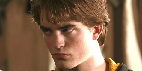 Harry Potter: The Life of Cedric Diggory, Explained