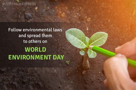 World Environment Day 2019: Theme, Slogans, Quotes, Images, Status ...