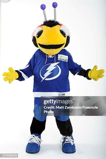 Tampa Bay Lightning Mascot Photos and Premium High Res Pictures - Getty ...