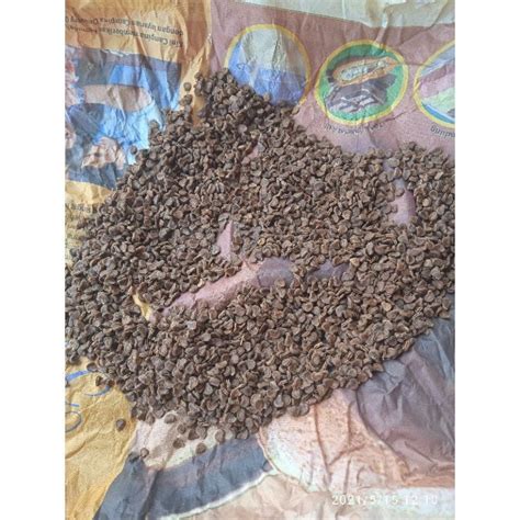 Biji Buah Kecubung Kering amethyst Seeds Dried - Etsy