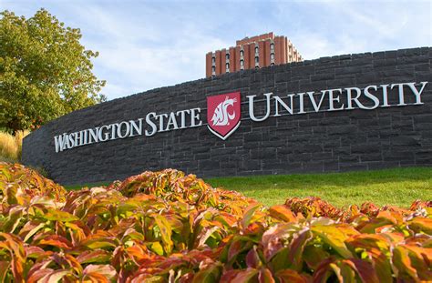 Progress on creating an inclusive and welcoming WSU community | WSU ...