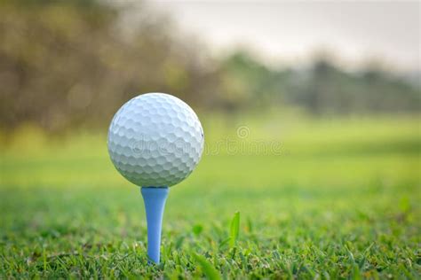 Close Up of Golf Ball on Tee Stock Image - Image of tree, equipment ...