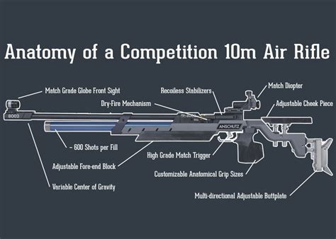 10m Competitive Air Rifle & Pistol Shooting | Airgun Depot Olympic ...