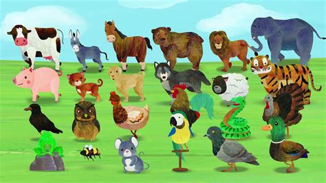 Animal Sounds Song (2D) | CoComelon Nursery Rhymes & Kids Songs - YouTube