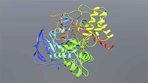 Esters – Functional Group Spotlight - Organic Chemistry Explained!