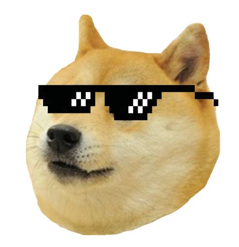 Meme Photos Doge HD Image Free Transparent HQ PNG Download | FreePNGimg