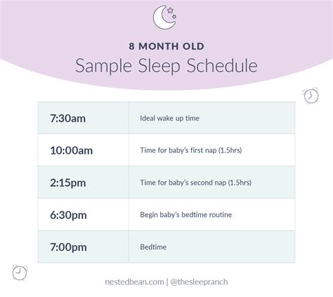 8 Month Old Sleep Schedule | Nested Bean