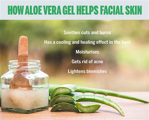 Top Uses Of Aloe Vera Gel For The Face | Femina.in