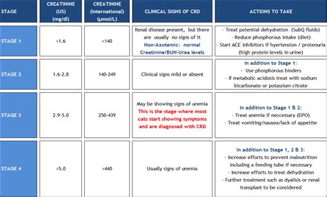 ISIS Renal Disease Stages - Current2 - Diabetic Cat International