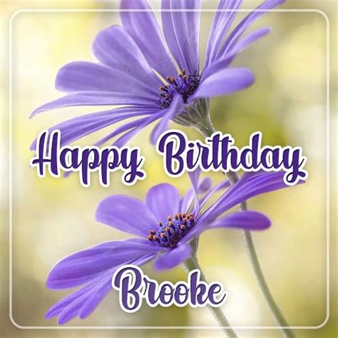 Happy Birthday Brooke – iwn.su