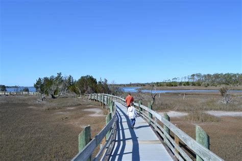 Hiking in Eastern North Carolina - Cedar Point Tideland Trail