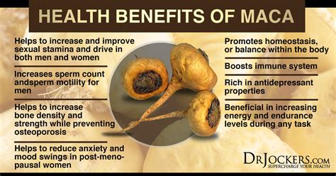 5 Hormone Balancing Benefits of Maca - DrJockers.com