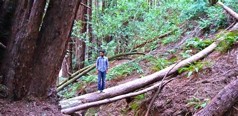 The Thrifty Traveler: Redwood Regional Park, Oakland