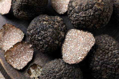 What Is a Truffle and What Does It Taste Like?