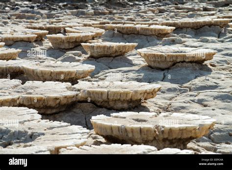 Salt Formations on Saltwater Lake, Dallol, Danakil Desert, Ethiopia ...