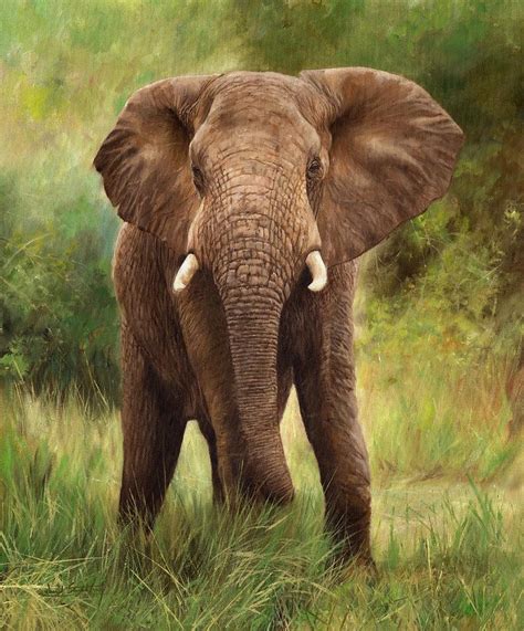 African Elephant Painting by David Stribbling - Pixels