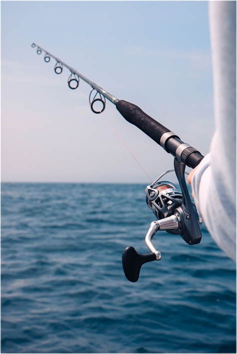 4 Important Deep Sea Fishing Tips to Know - Daily Magazines