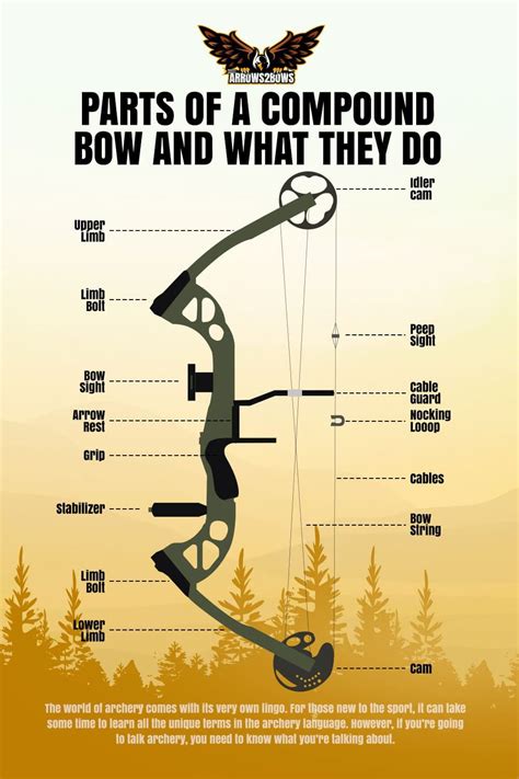 Parts of a Compound Bow & What They Do [All parts explained] | Archery ...