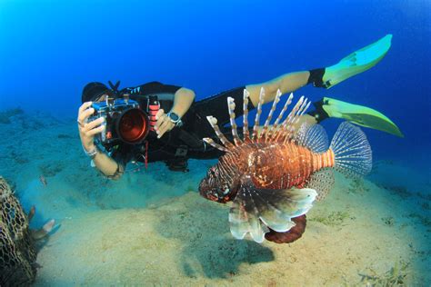 TOP-14 Underwater Photography Tips - HOW to take Underwater Photos