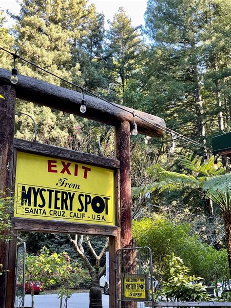 Santa Cruz Mystery Spot 🏖 | Santa cruz mystery spot, Santa cruz ...