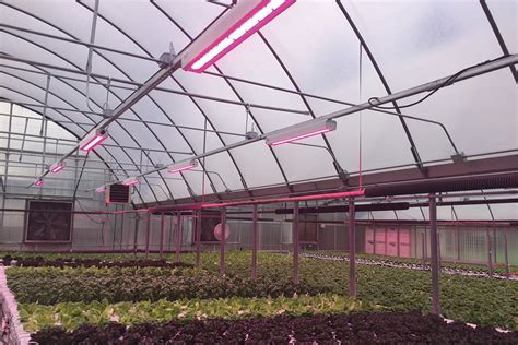 The Latest Innovations in Greenhouse Lighting - Greenhouse Grower