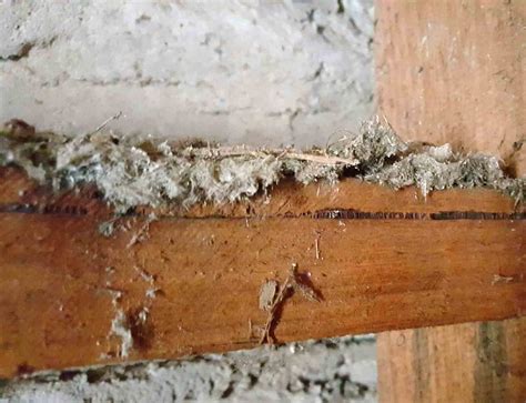 Mr. Fluffy Asbestos: Photos Educate Canberra Homeowners