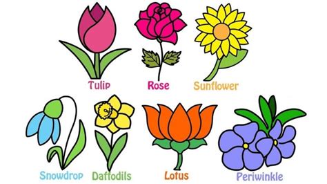 how-to-draw-and-colouring-flowers-for-kids-learn-flower-names-in ...