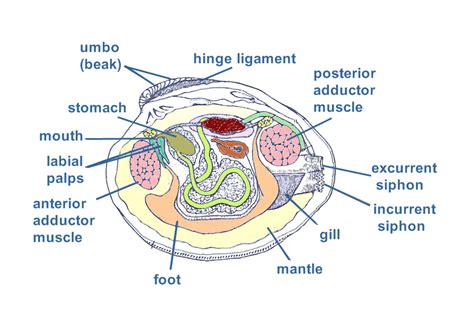 Index of /images