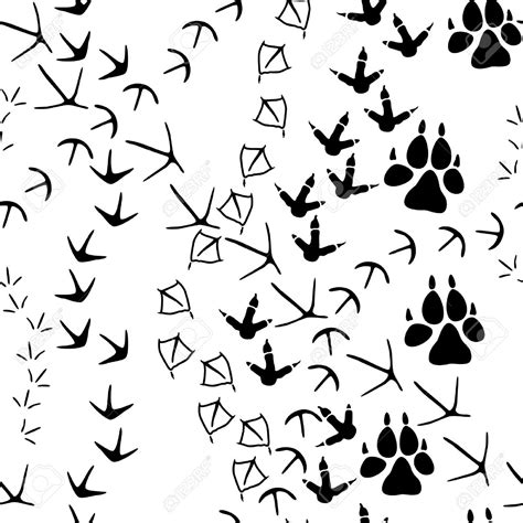 Animal Tracks Drawing at GetDrawings | Free download