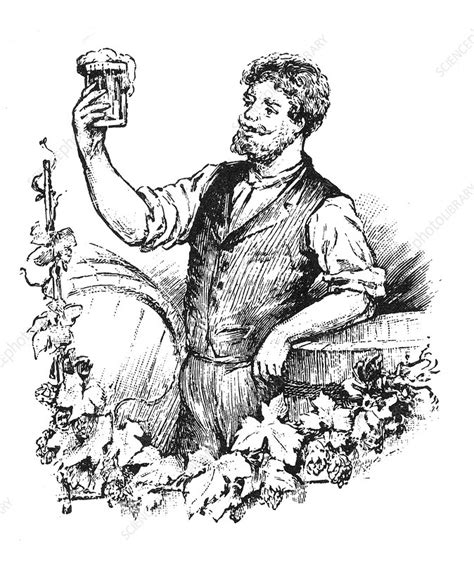 Man drinking beer, illustration - Stock Image - F011/7263 - Science ...