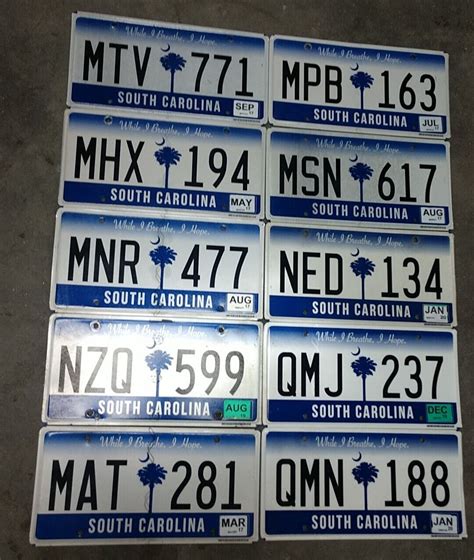 Lot of 10 South Carolina License Plates Palmetto Tree SC While I ...