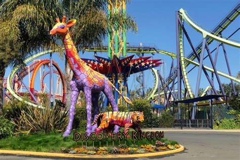 Tips & Tricks for Six Flags Discovery Kingdom - Trips With Tykes