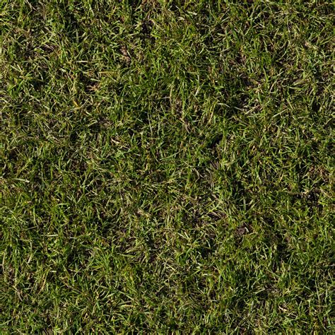 HIGH RESOLUTION TEXTURES: Seamless Grass Texture