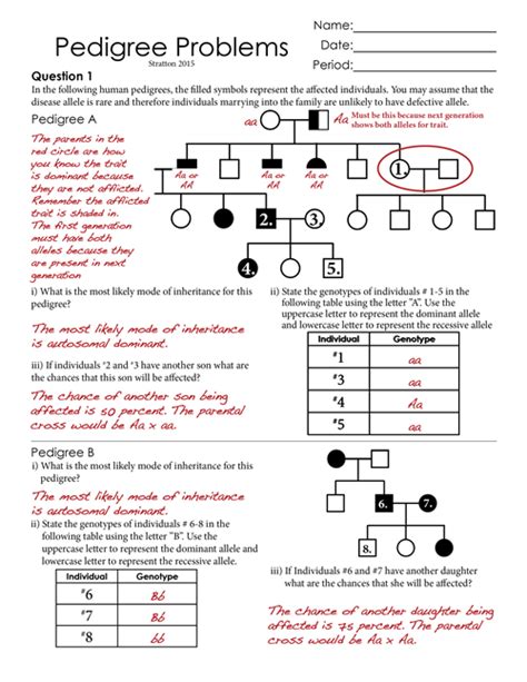 Pedigree Chart Practice Questions